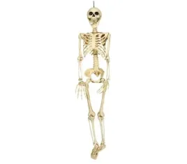 szkielet-czlowieka-model-kosciotrup-szkieletor-dekoracja-90cm