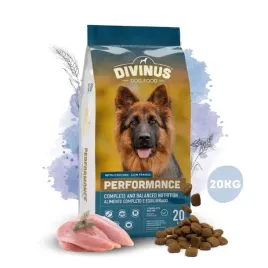 divinus-performance-karma-sucha-dla-psa-owczarek-labrador-witaminy-20