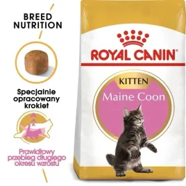 royal-canin-maine-coon-kitten-karma-sucha-dla-kociat-do-15-miesiaca-rasy
