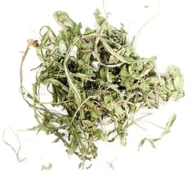 wio-mar-mniszek-lekarski-150g