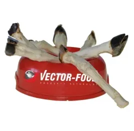 vector-food-giczka-jagnieca-york-1szt