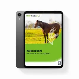 ebook-kolka-u-koni-nie-zawsze-winne-sa-jelita-kinga-szczepanik