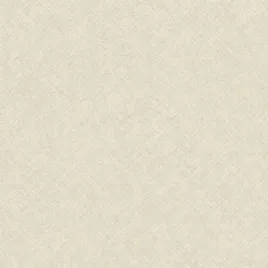 tapeta-premium-grandeco-co1102-jasny-bez-struktura-tynku-106cm