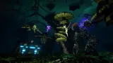 arboria-klucz-steam-granice-wiekowe-pegi-brak-informacji