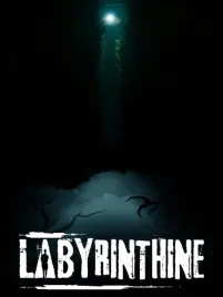 labyrinthine-klucz-steam