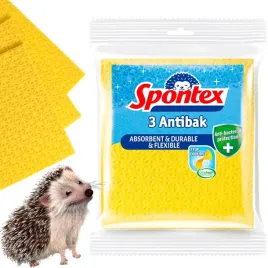 scierka-gabczasta-spontex-antibak-3-szt-chlonna