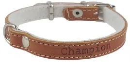 obroza-dla-psa-skora-licowa-polski-producent-champion-30cm-1cm-koniak