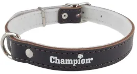 obroza-dla-psa-skora-licowa-polski-producent-champion-60cm-25cm-brazowa