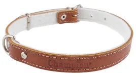 obroza-dla-psa-skora-licowa-polski-producent-champion-50cm-18cm-koniak
