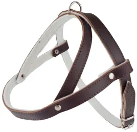 szelka-dla-psa-skorzana-podszyta-filcem-skora-licowa-50cm-champion-brazowy