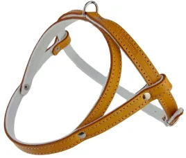 szelka-dla-psa-skorzana-podszyta-filcem-skora-licowa-35cm-champion-orange