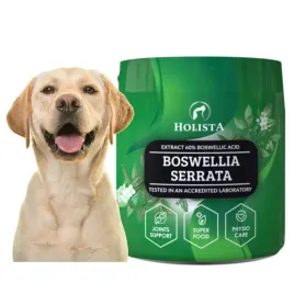 holista-boswellia-seratta-100g