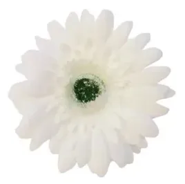 kwiat-sztuczny-6-szt-glowka-bialy-do-stroika-wiazanki-kompozycji-gerbera