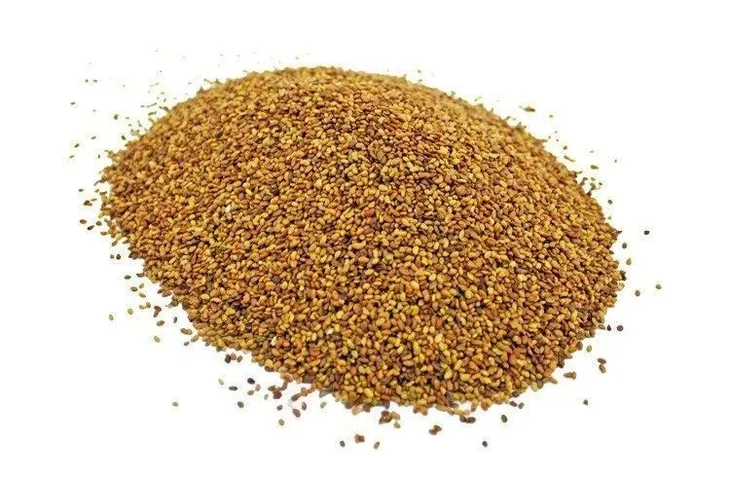 Nasiona lucerny LUCERNA paszowa Blaze Company 20kg