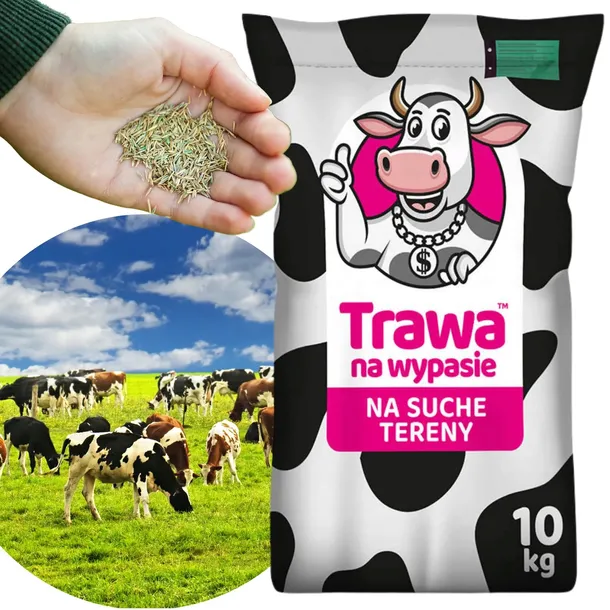 Trawa Pastwiskowa Łąkowa 10kg Na Tereny Suche Pod Wypas Krów Bydła Koni
