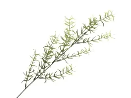 sztuczny-asparagus-galazka-do-kompozycji-stroik