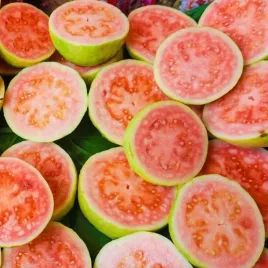 gujawa-pospolita-owocuje-przez-caly-rok-psidium-guajava-colombian-red
