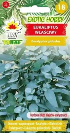 eukaliptus-wlasciwy-eucalyptus-globulus-nasiona-10-sztuk