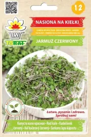 nasiona-na-kielki-jarmuz-czerwony-10-gram-nasion
