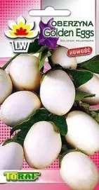 oberzyna-golden-eggs-solanum-melongena-02-g-nas