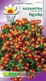 aksamitka-waskolistna-paprika-05-grama-nasion