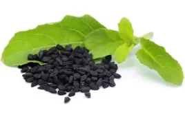 czarnuszka-siewna-nigella-sativa-05-grama-nasion