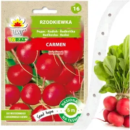 rzodkiewka-carmen-nasiona-na-tasmie-6-m-250-nasion-chrupiaca-lagodna