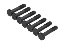 schaeffler-luk-411-0232-10-zestaw-srub-kolo-zamachowe