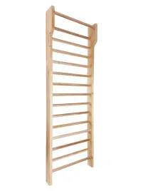 drabinka-gimnastyczna-drewniana-z-drazkiem-underfit-240-x-80-cm