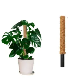 podpora-do-roslin-kwiatow-pnacych-palik-do-pomidorow-kokosowy-tyczka-40cm