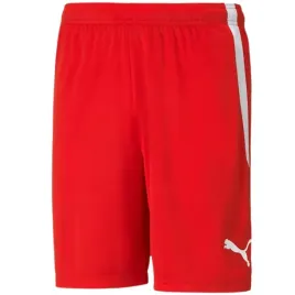 nd05-s11876-s-704924-01-spodenki-meskie-puma-team