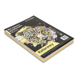 nd39-556952-papier-xero-kol-a4-80g-mix-pastel-5-o