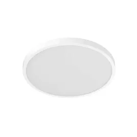 inteligentna-lampa-sufitowa-xiaomi-d20-z-technologia-smart-home