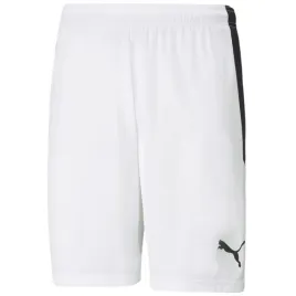 nd05-s11878-m-704924-04-spodenki-meskie-puma-team
