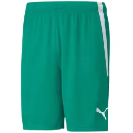 nd05-s11075-m-704924-05-spodenki-meskie-puma-team