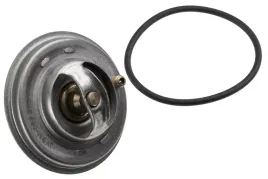 termostat-bmw-5-e39-1996-1997-1998-1999-2000-2001-2002-2003