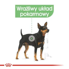 royal-canin-ccn-mini-digestivetive-care-sucha-karma-dla-psa-doroslego-3