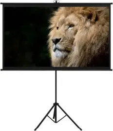duzy-ekran-projekcyjny-na-statywie-200x200cm-112-hdready-4k