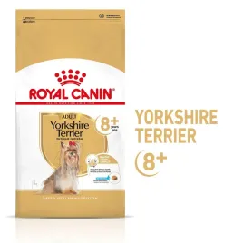 royal-canin-bhn-yorkshire-ageing-8-sucha-karma-dla-psa-starszego-3-kg