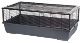 inter-zoo-bernie-empty-czarny-1000x540x390
