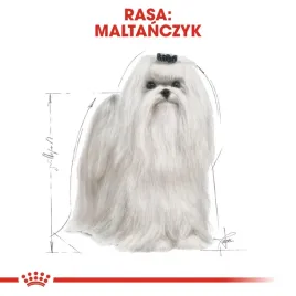 royal-canin-bhn-maltese-adult-sucha-karma-dla-psa-doroslego-15kg