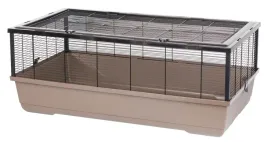 inter-zoo-bernie-empty-mokka-1000x540x390