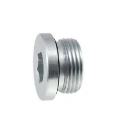 korek-zaslepiajacy-vsti-m27x15-ed-imbus-z-uszczelka-gumowa