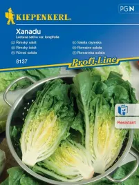 salata-rzymska-nasiona-kiepenkerl-odmiana-xanadu-nasiona-salaty