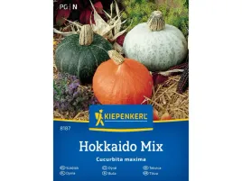 dynia-hokkaido-mieszanka-trzech-odmian-dyni-kiepenkerl
