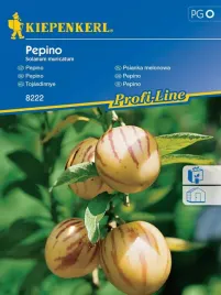 pepino-psianka-melonowa-nasiona-egzotyczne-owoce