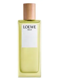 loewe-agua-de-loewe-el-edt-100-ml-tester