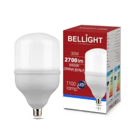 zarowka-led-mocna-t100-230v-30w-200w-6500k-e27-2700lm-zimna-barwa