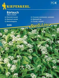 czosnek-niedzwiedzi-nasiona-kiepenkerl-czosnkowy-zapach