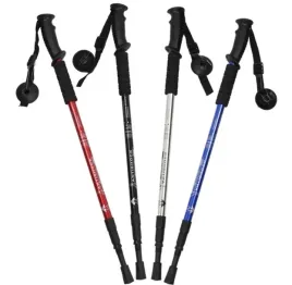 kijki-kije-do-chodzenia-trekkingowe-nordic-walking-z-regulacja-2-szt